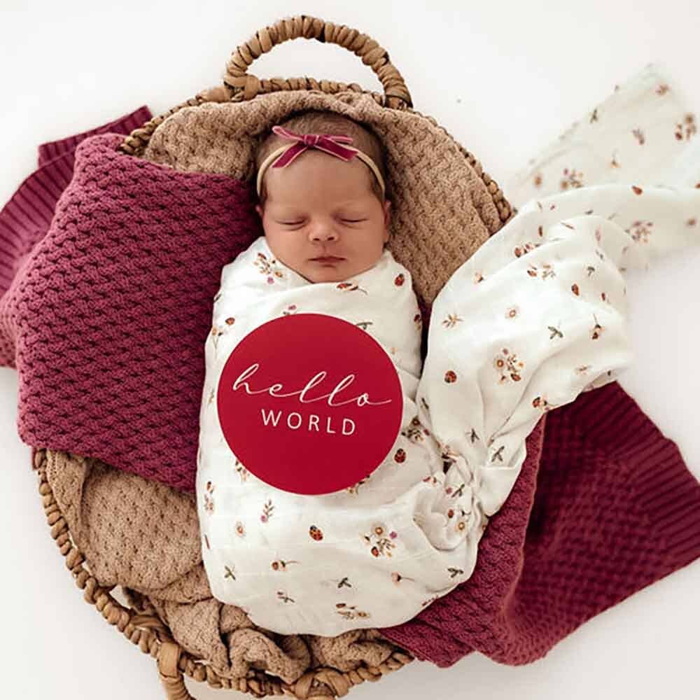 Snuggle Honey Ladybug Organic Muslin Wrap - Ladybug