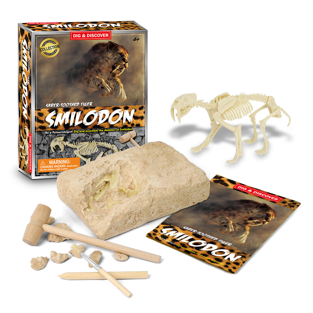 Dig & Discover Saber-Toothed Tiger Dig Kit
