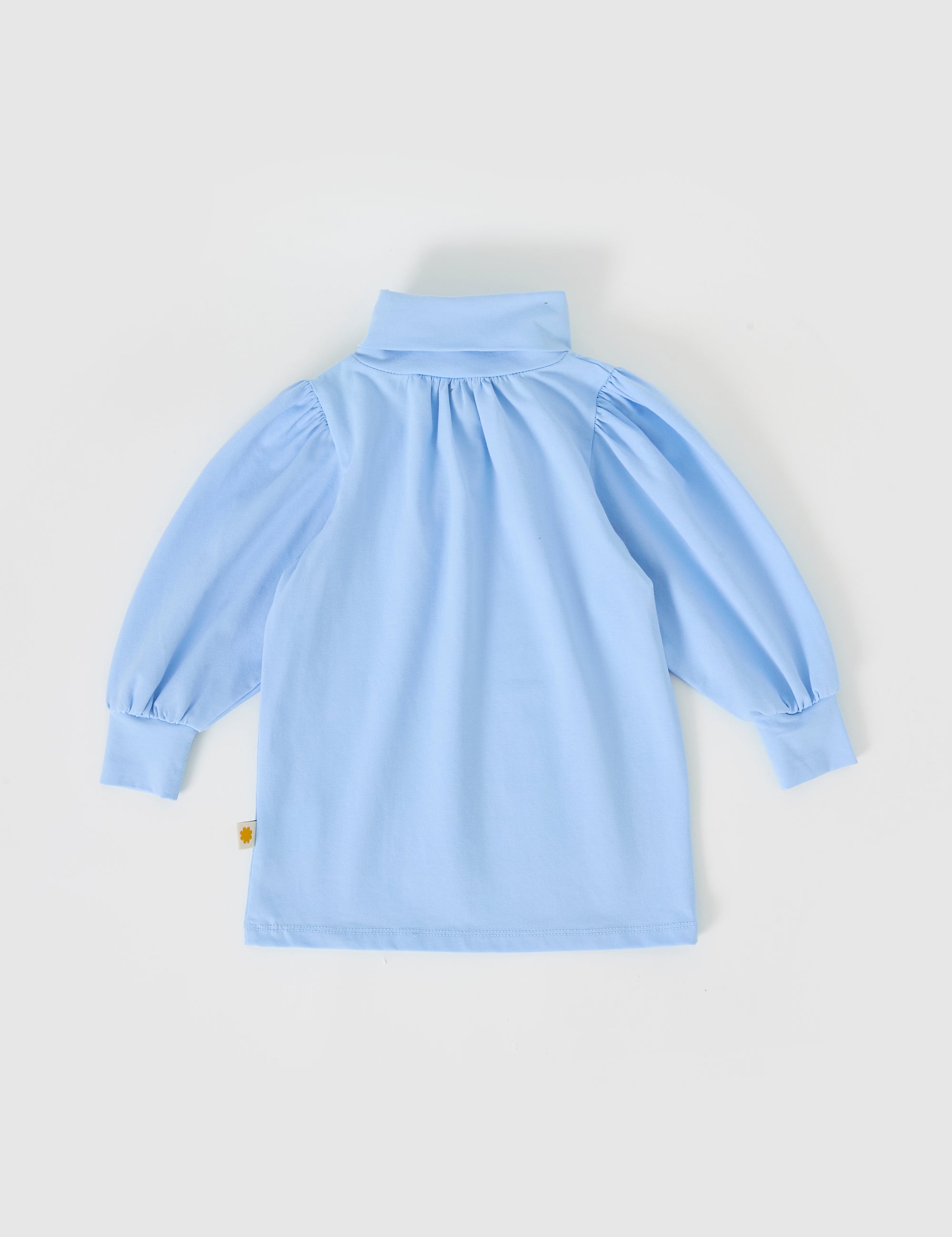 Goldie & Ace Sofia Embroidered Puff Sleeve Skivvy in Sky Blue
