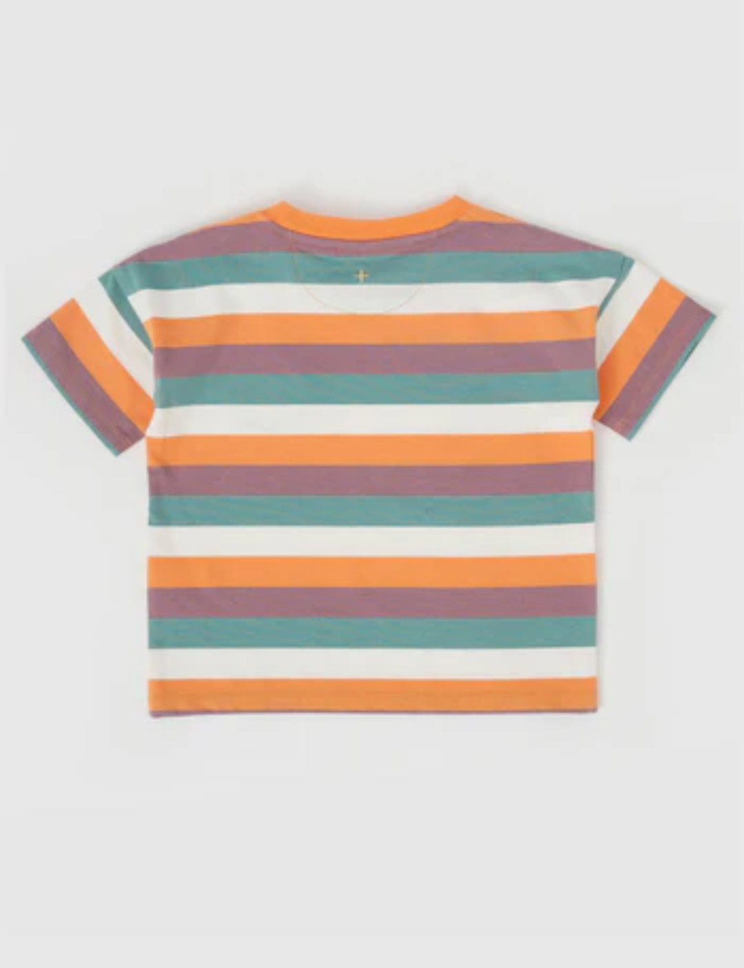 Goldie & Ace Dino Valley Nostalgia Stripe T-Shirt in Multicolour