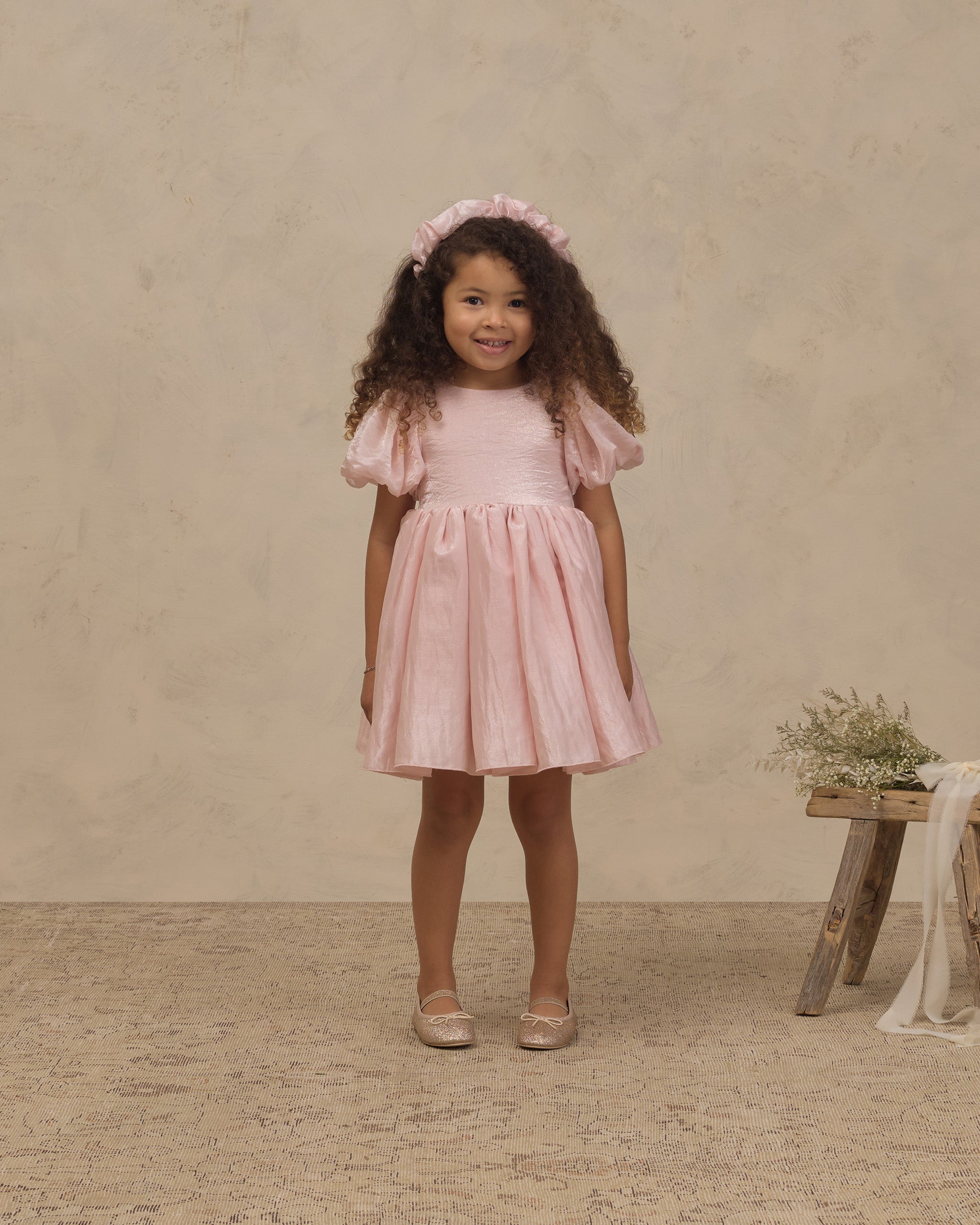 Noralee Sofia Dress Rose Shimmer