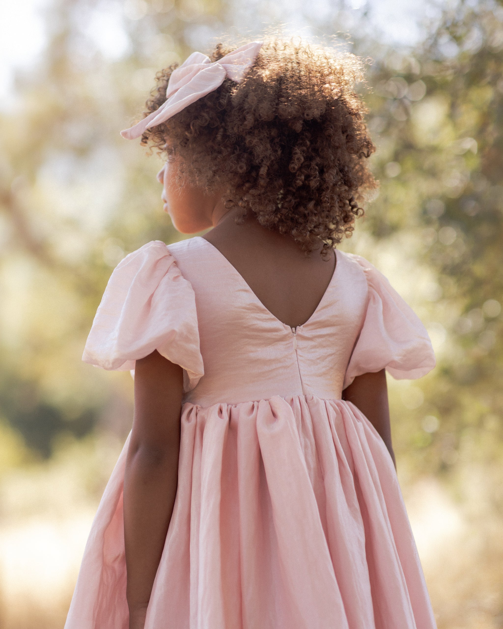 Noralee Sofia Dress Rose Shimmer