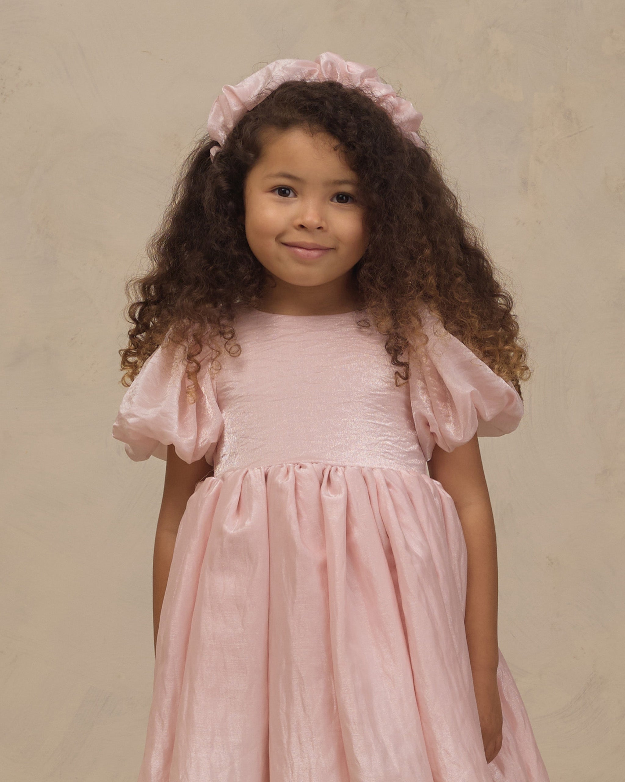 Noralee Sofia Dress Rose Shimmer