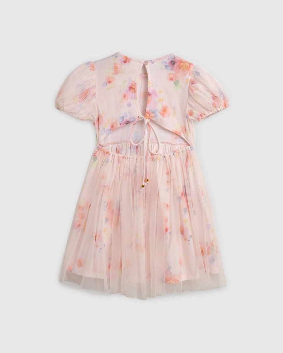 Alex & Ant Aria Dress - roses