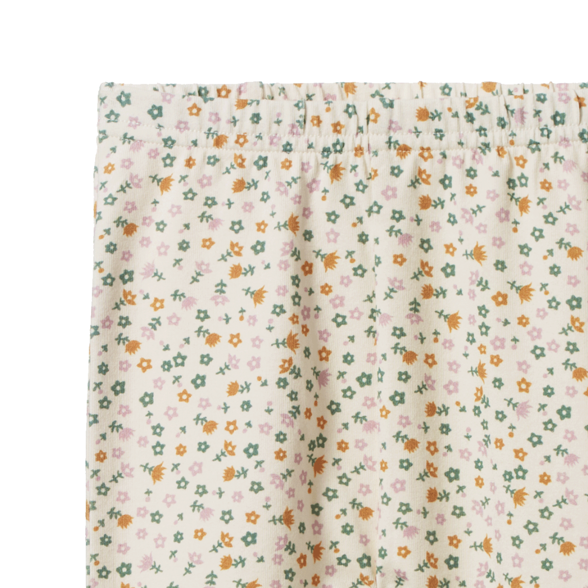 Nature Baby Leggings in Pollyanna Print