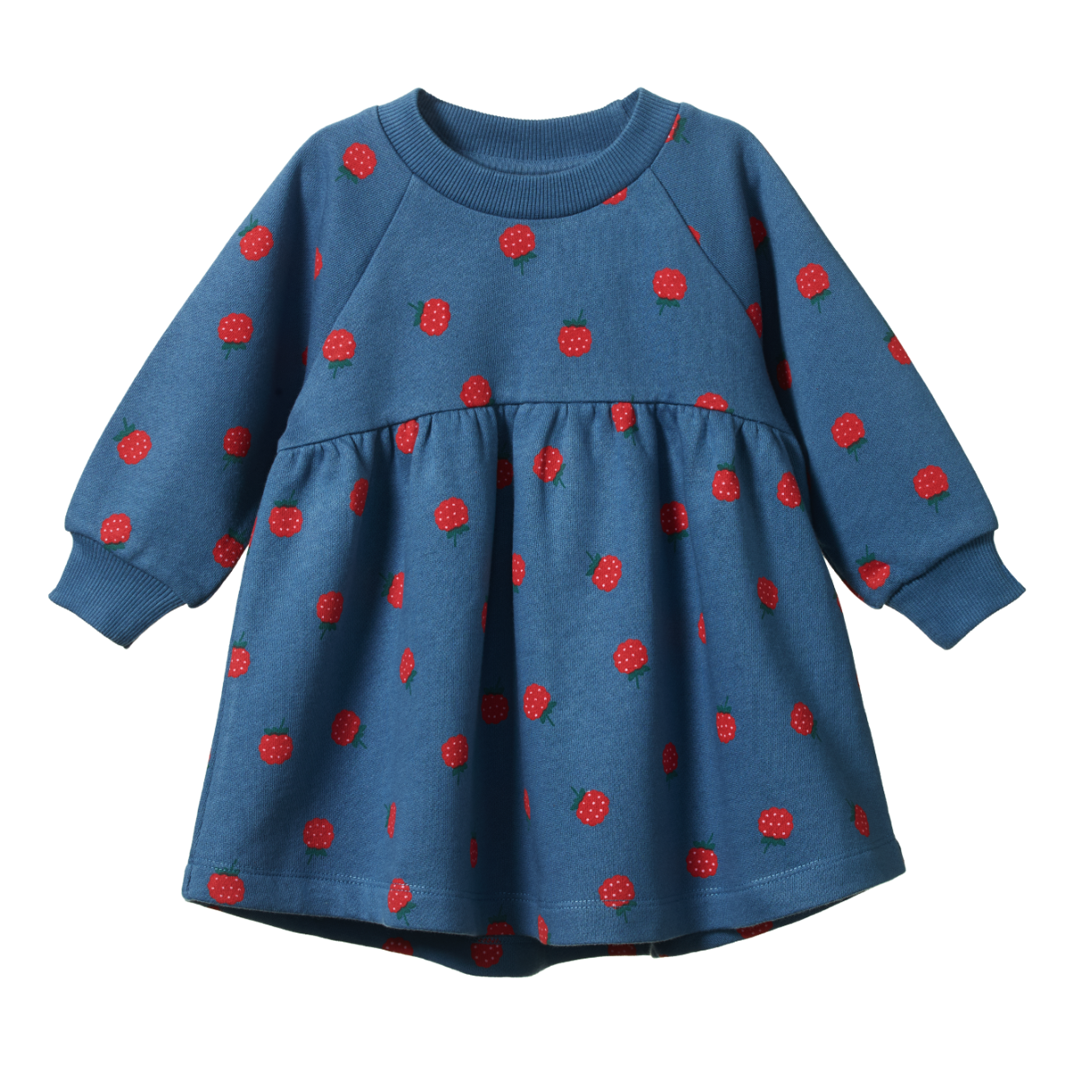 Nature Baby Ines Dress in Raspberry Blue Print