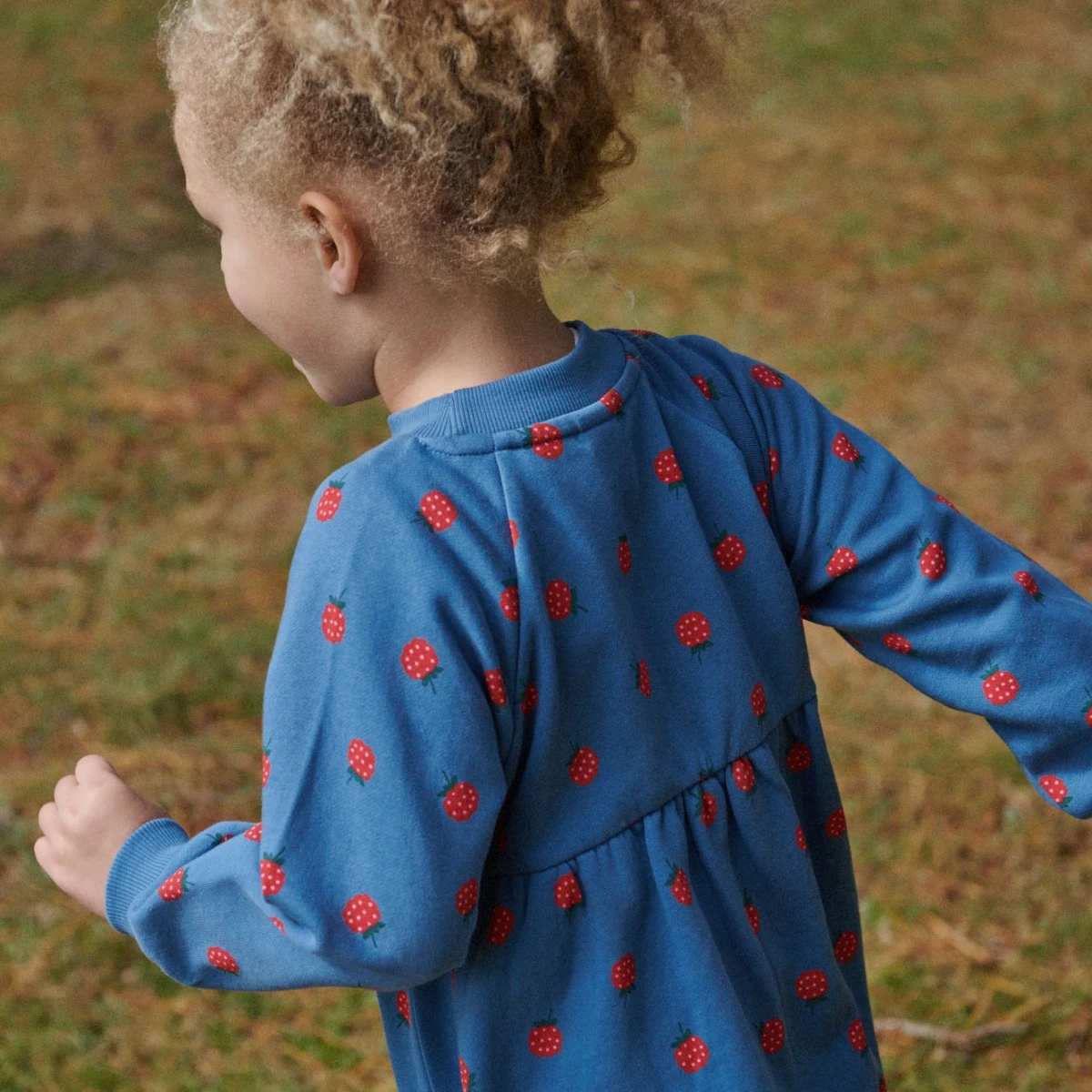 Nature Baby Ines Dress in Raspberry Blue Print