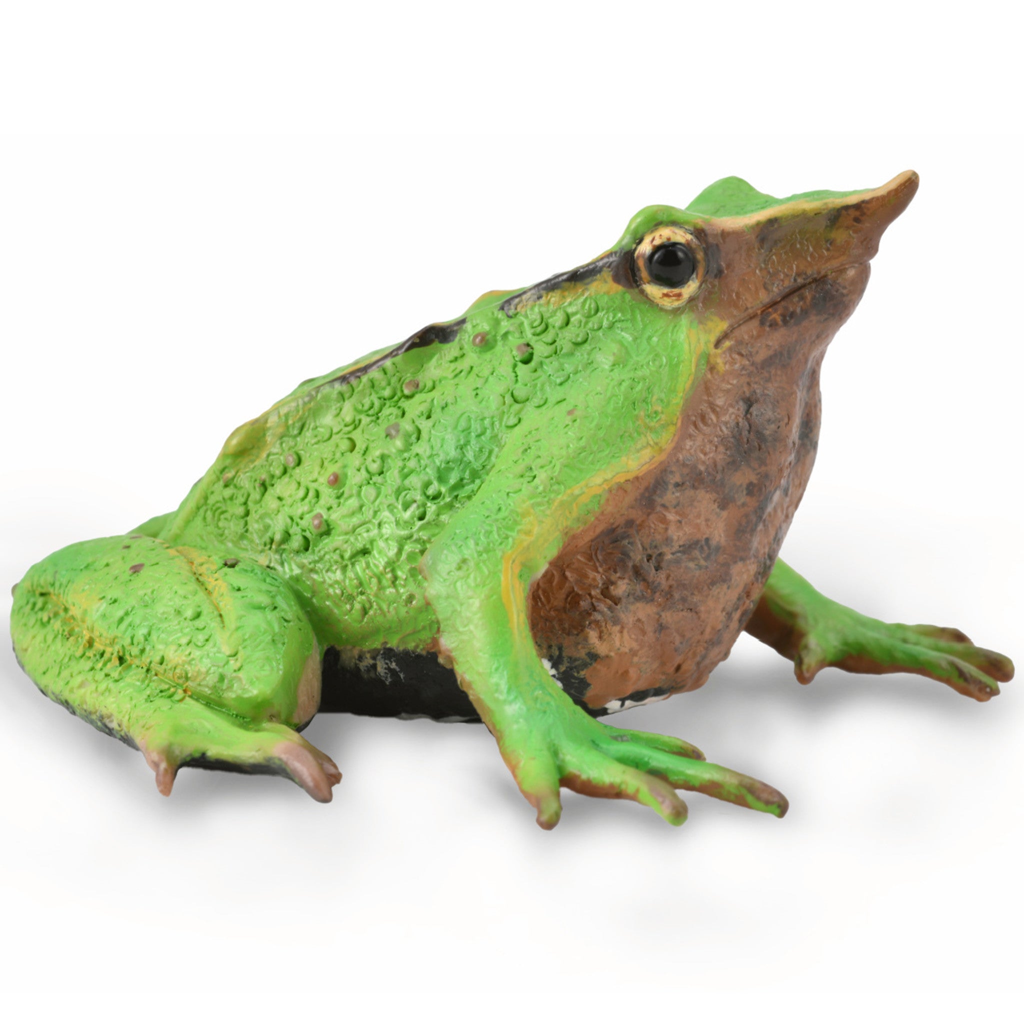 Collecta Darwin’s Frog (M)