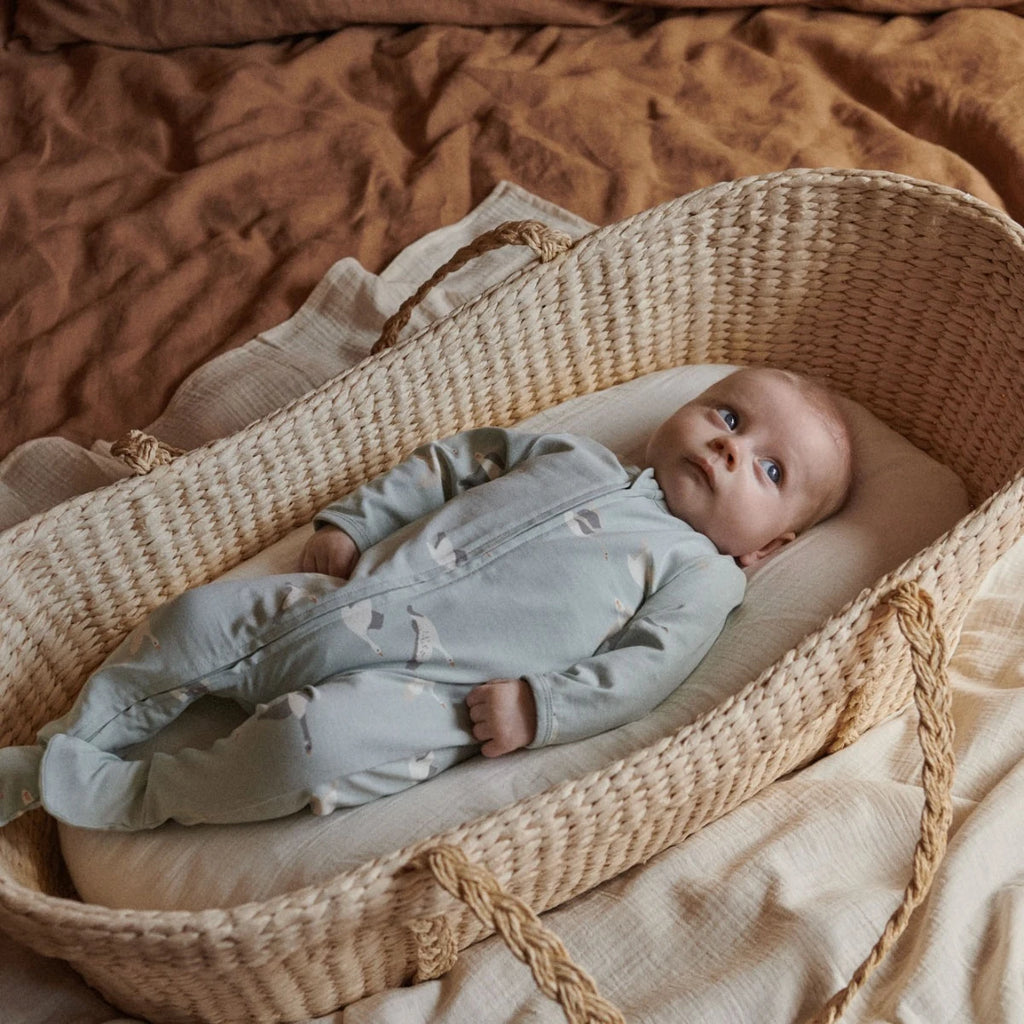 Nature Baby Dreamlands Suit in Flying Geese