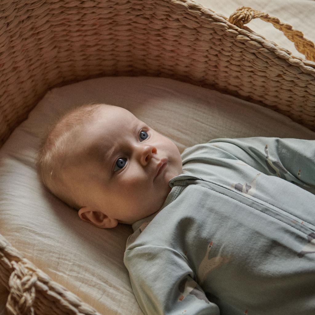Nature Baby Dreamlands Suit in Flying Geese