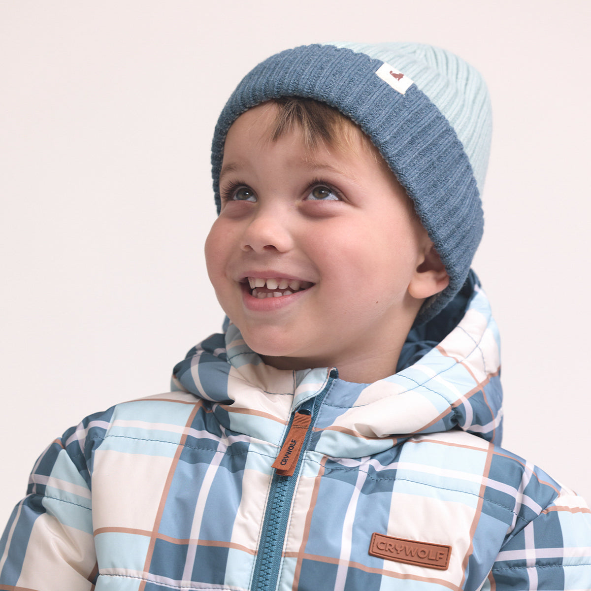 Crywolf tasman beanie in blue
