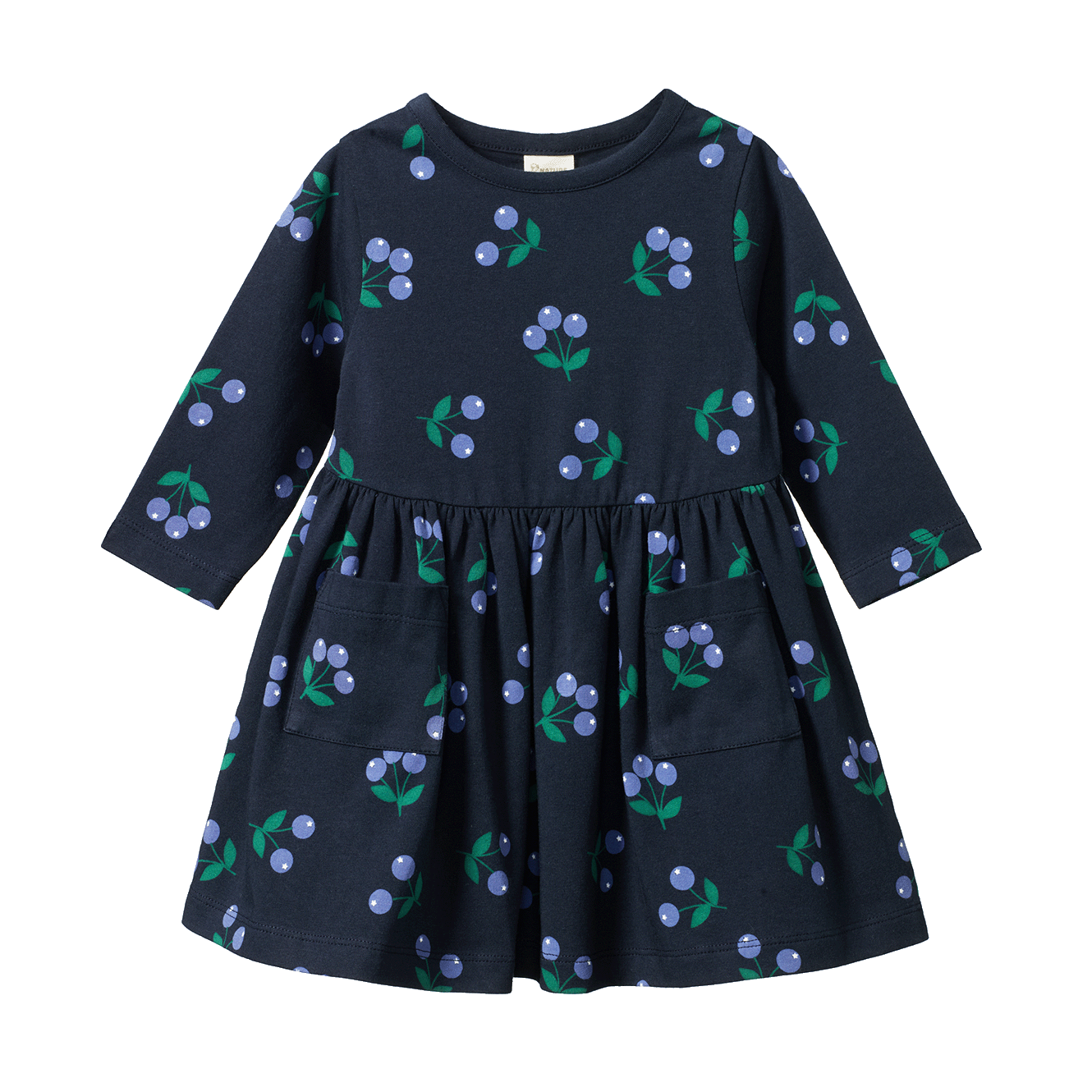 Nature Baby Twirl Dress in Winter Berry Navy Print
