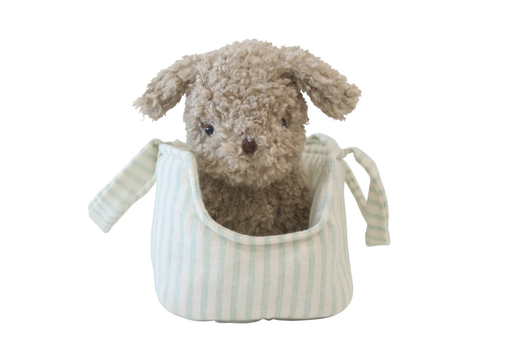 Biscuit the Puppy & Carrier