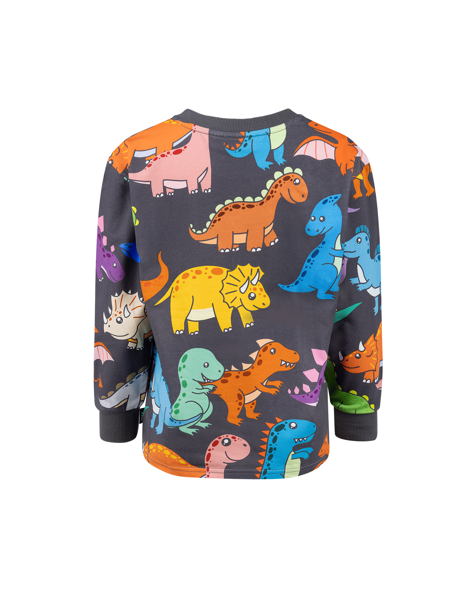 Rock your baby on the move long sleeve tee