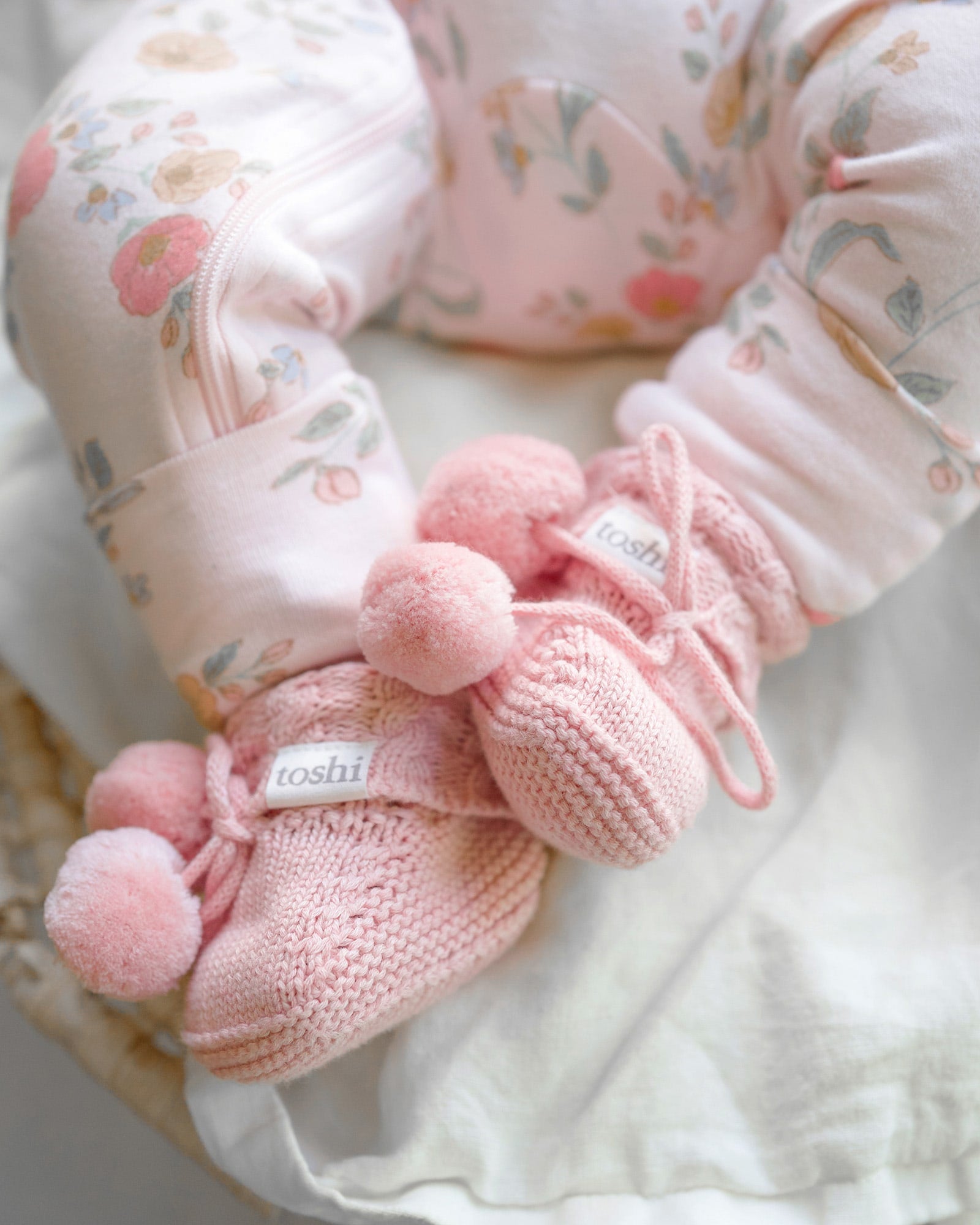 Toshi Organic Booties Yummy Misty Rose