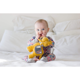 Tikiri Lion Activity Toy