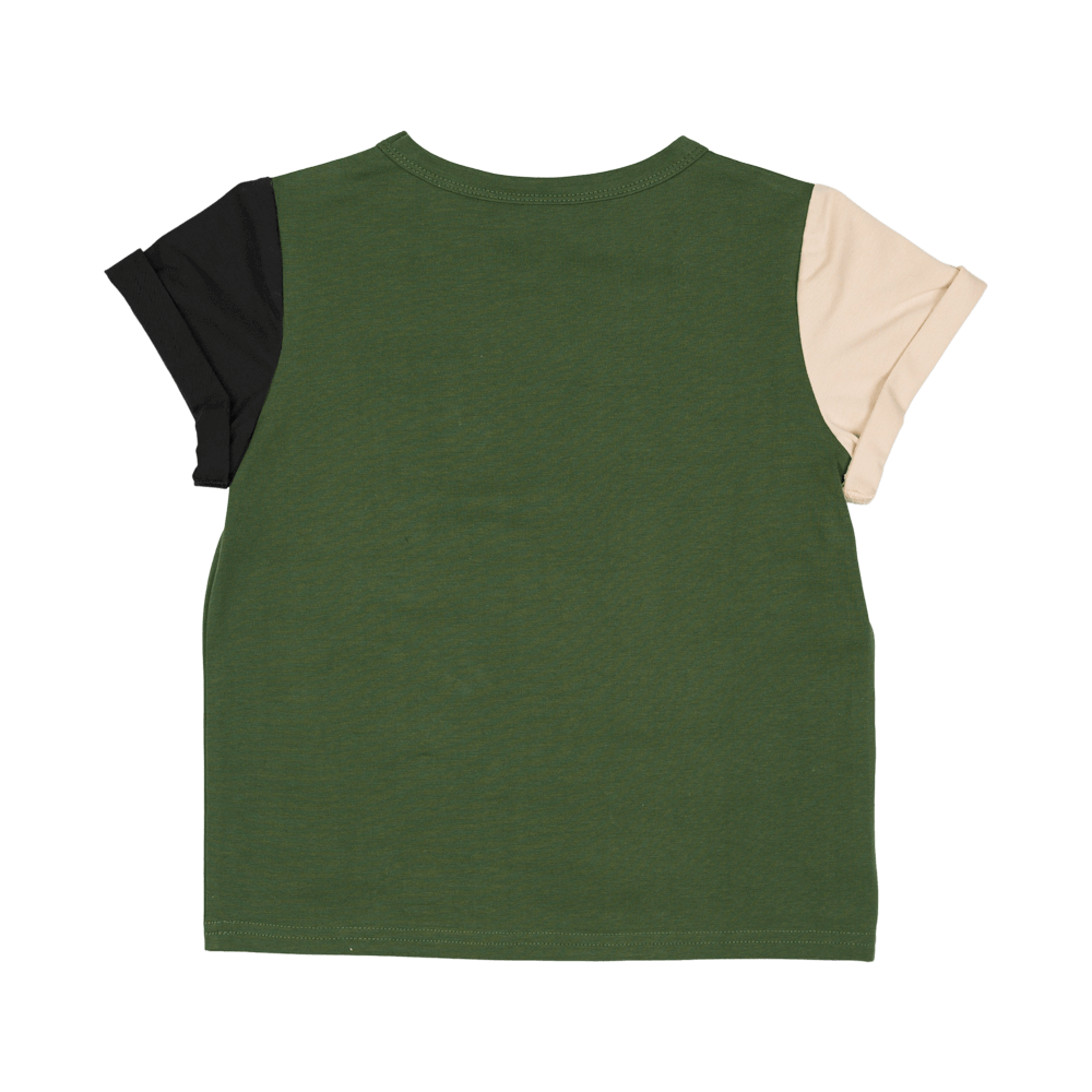 Rock your baby break boards ss t-shirt in multicolour