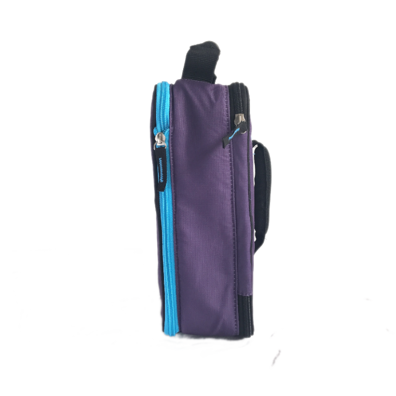 Arctic Zone Expandable Lunch Pack Logan in Purple