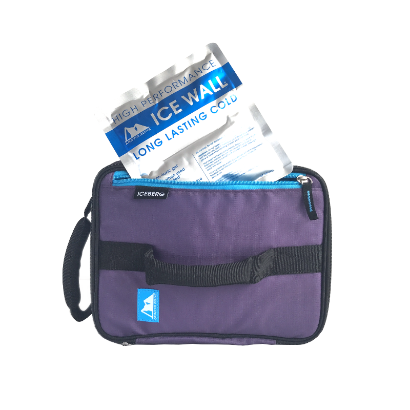 Arctic Zone Expandable Lunch Pack Logan in Purple
