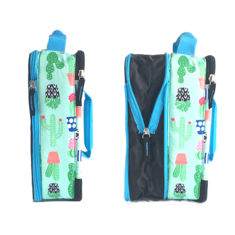 Arctic Zone Expandable Lunch Pack Cactus in Green