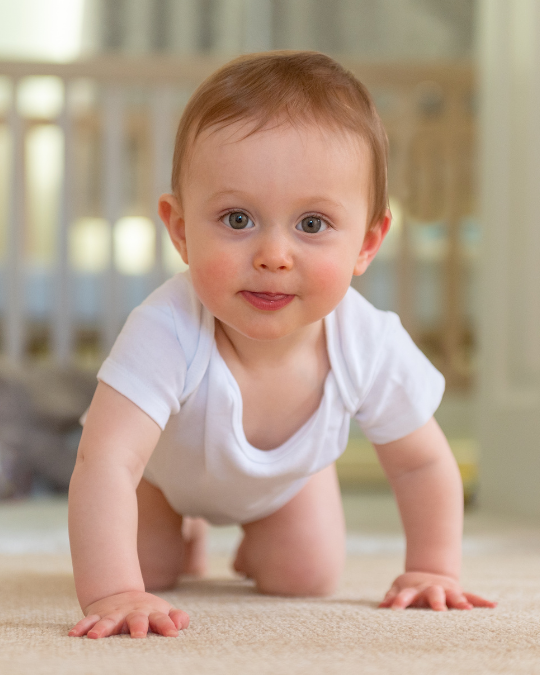 6-12 Months