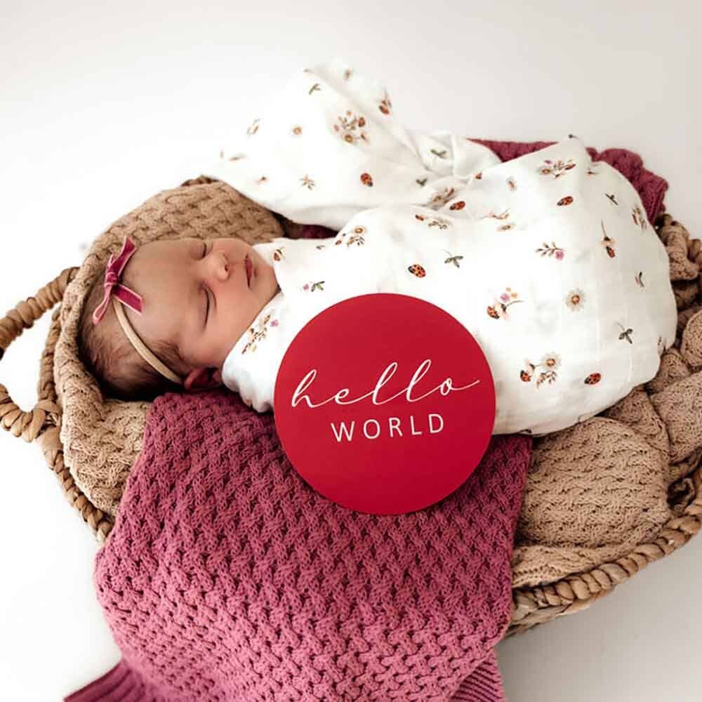 Snuggle Honey Ladybug Organic Muslin Wrap - Ladybug