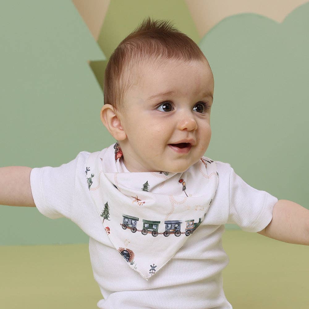Snuggle Honey Trains Organic Dribble Bib