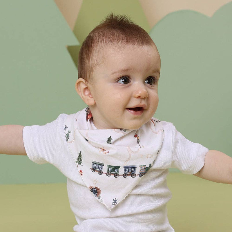 Snuggle Honey Trains Organic Dribble Bib