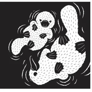Aussie Water Babies - Black and White Board Book