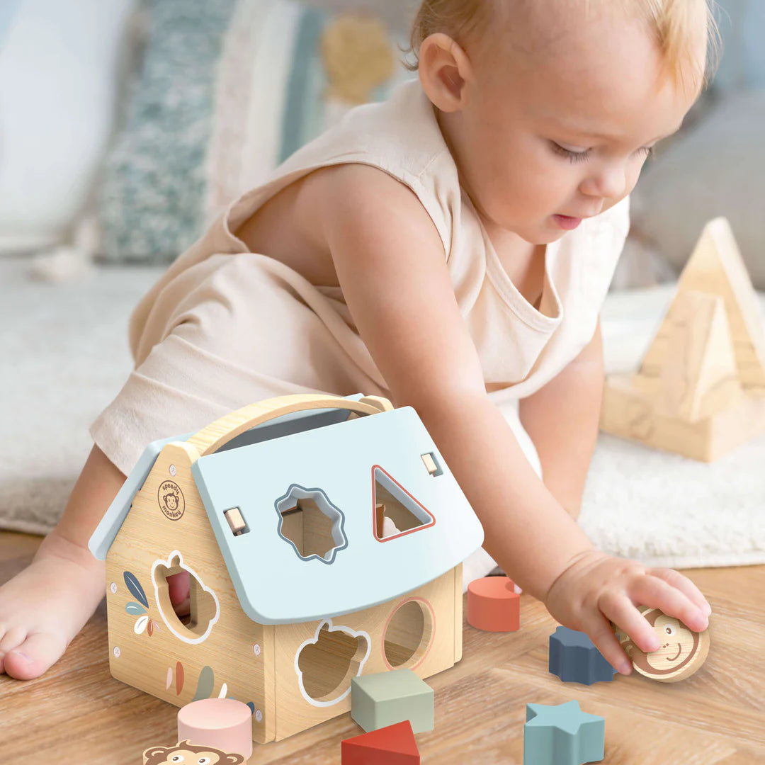 Speedy Monkey house shape sorter