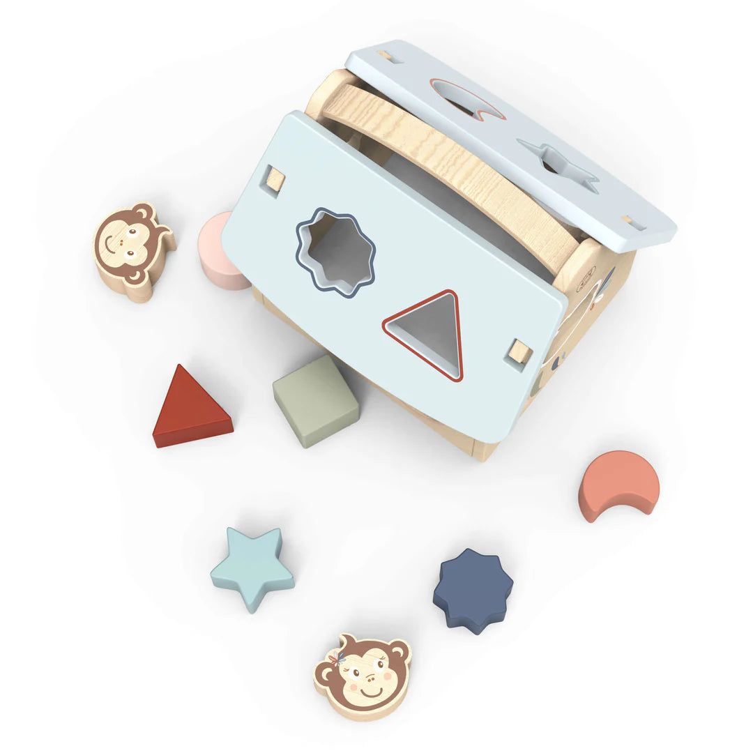 Speedy Monkey house shape sorter