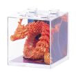 Isalbi Discovery 3D Sensory Dragon - 6 Assorted colours
