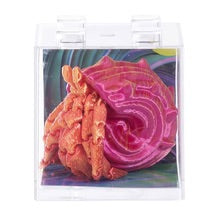 Isalbi Discovery 3D Sensory Sea Life - 12 Assorted colours