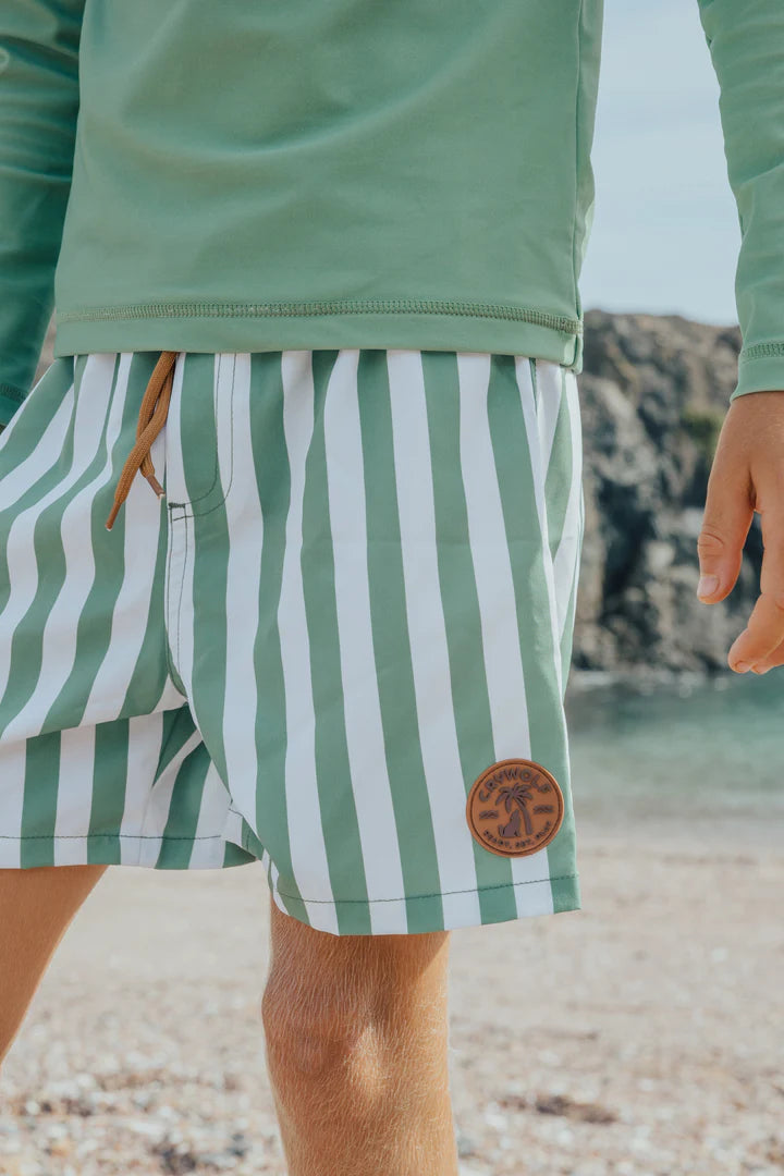 Crywolf Board shorts coastal stripe