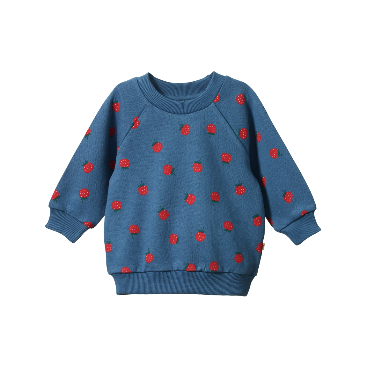 Nature Baby Emerson sweater raspberry blue print