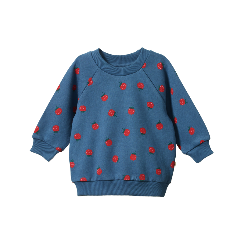 Nature Baby Emerson sweater raspberry blue print