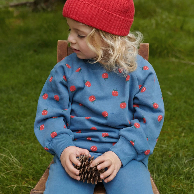 Nature Baby Emerson sweater raspberry blue print