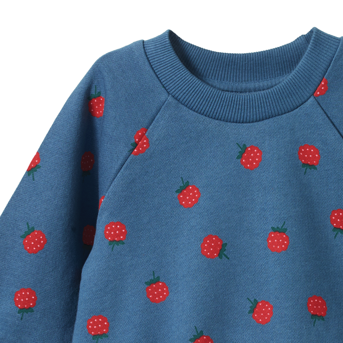 Nature Baby Emerson sweater raspberry blue print