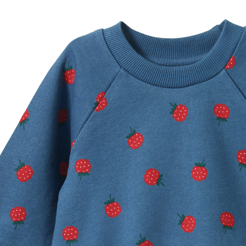Nature Baby Emerson sweater raspberry blue print