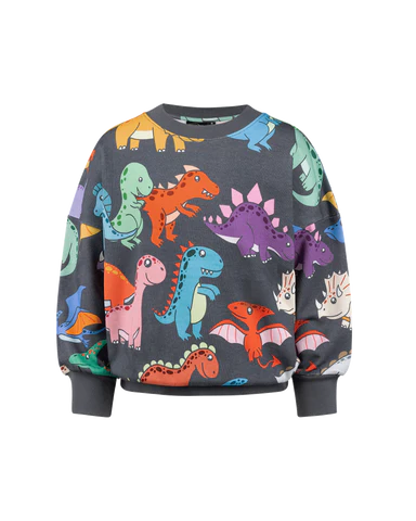 Rock Your Baby on the move sweatshirt