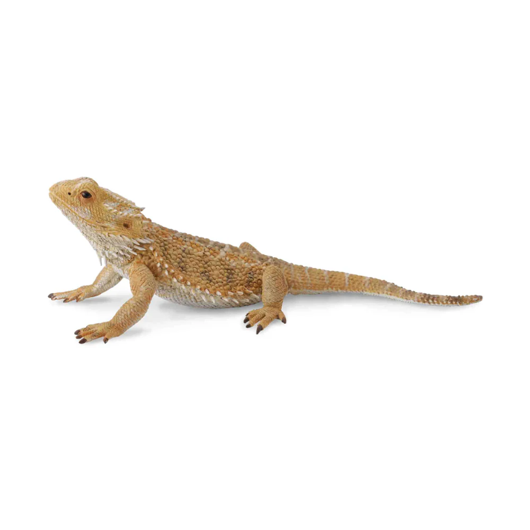 Collecta Bearded Dragon Lizard (L)