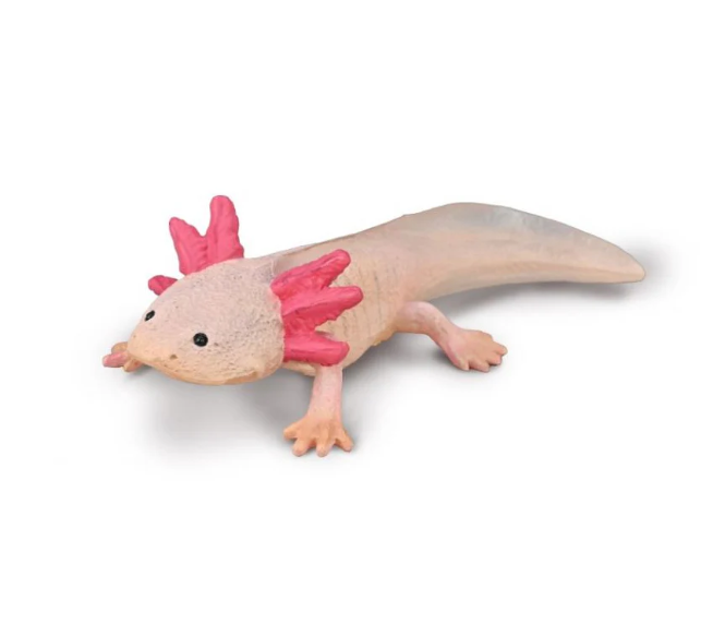 Collecta Axolotl (M)