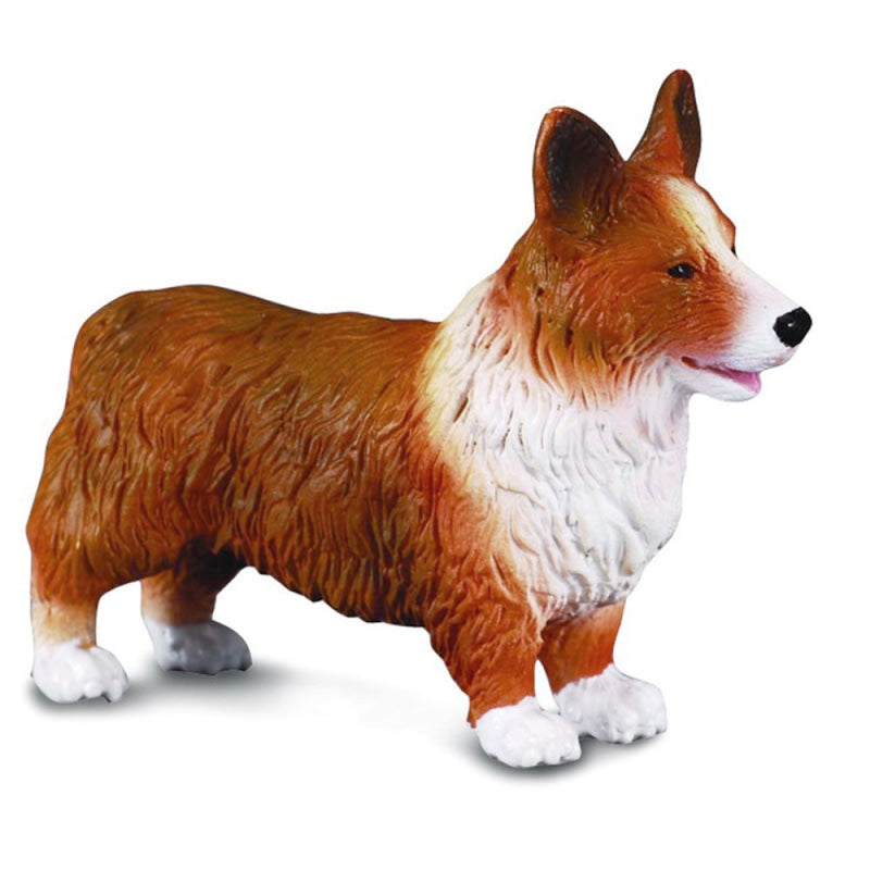 Collecta Welsh Corgi (M)