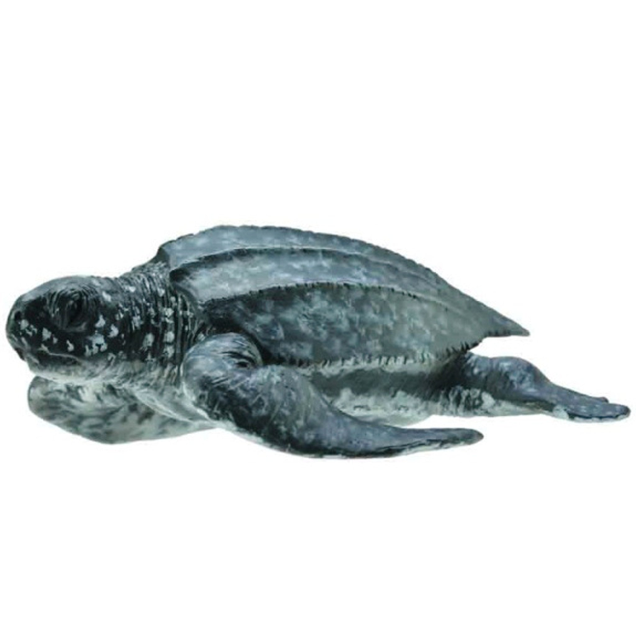 Collecta Leatherback Sea Turtle (M)