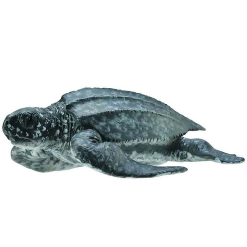 Collecta Leatherback Sea Turtle (M)