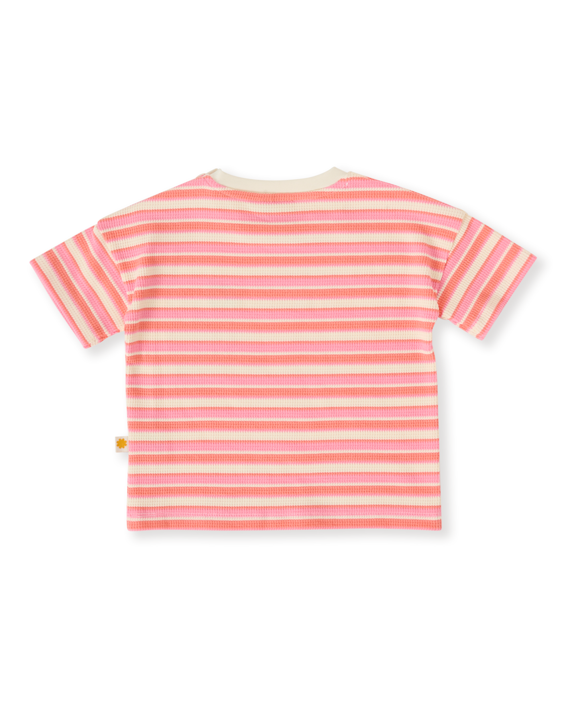 Goldie & Ace watermelon stripe t-shirt