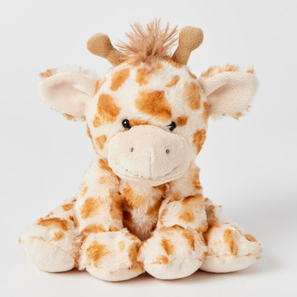 Honey the giraffe
