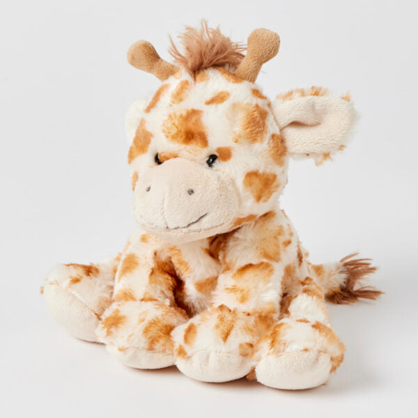 Honey the giraffe
