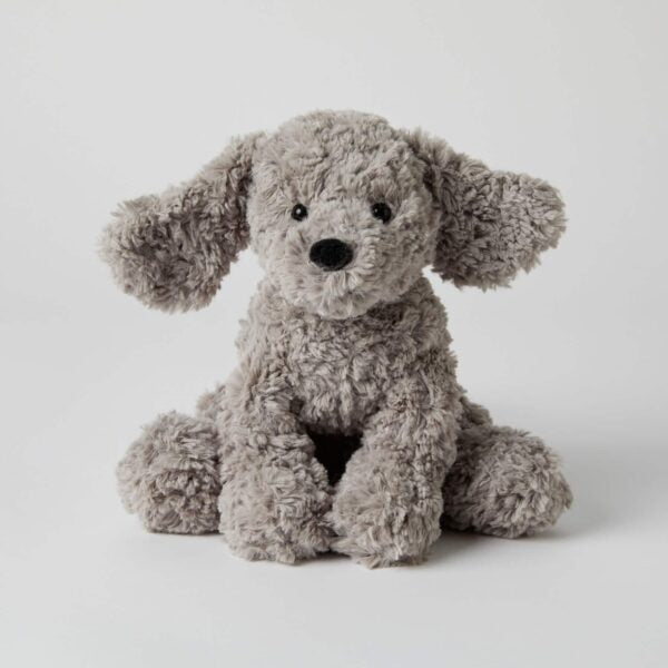 Scampy the puppy