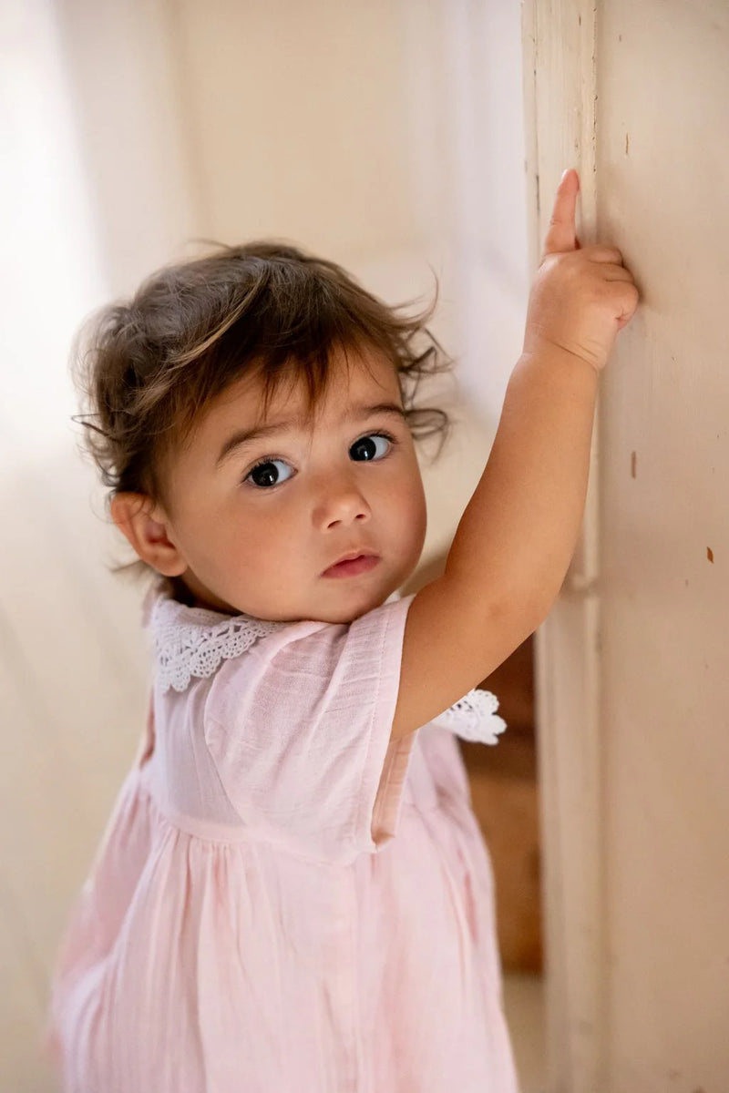Alex & Ant Adele Baby Dress in Petal Pink